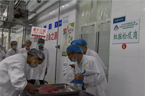 技能竞技展风采，科技赋能促发展——全国农业行业职业技能大赛动物检疫检验员赛项圆满落幕