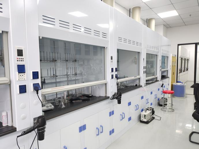 科研速递 | 王兮教授课题组在连二硫领域取得重要进展 助力生物化工产品技术研发