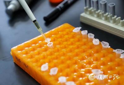 厦大校友扎根鹭岛，生物化工创新成果闪耀全球